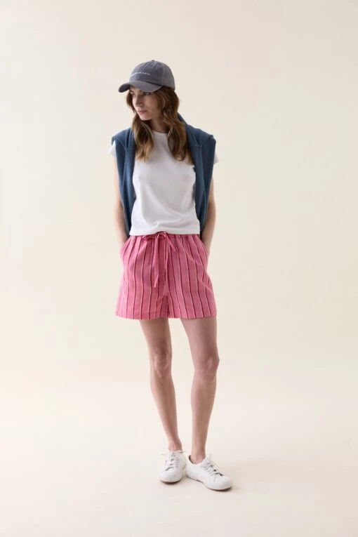 Bodiam Pink Painted Stripe Shorts - Image 5