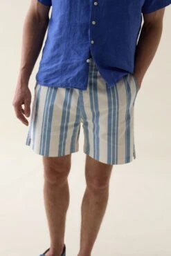 Dunsfold Blue Printed Stripe Shorts -Buff Shop Dunsfold Blue Stripe Shorts2