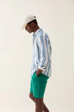 Wadhurst Blue Printed Stripe Shirt -Buff Shop Wadhurst Blue Printed Stripe Shirt3