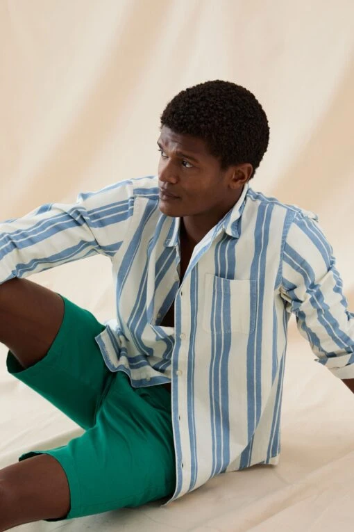 Wadhurst Blue Printed Stripe Shirt - Image 4