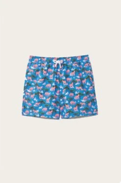 Mountain Zebra Cobalt Swim Shorts -Buff Shop Zebra Cobalt Swim Short Full Picture 4dfab32f 9933 4b03 b14b 6da254b219c0