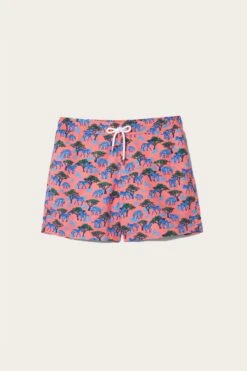 Mountain Zebra Coral Swim Shorts -Buff Shop Zebra Coral Swim Short Full Pic