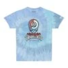 Grateful Dead 60thx TGR SYF Tie-Dye Tee - Lagoon -Buff Shop grateful dead 60th x tgr syf tie dye tee lagoon 501095