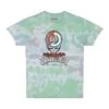 Grateful Dead 60thx TGR SYF Tie-Dye Tee - Slushy