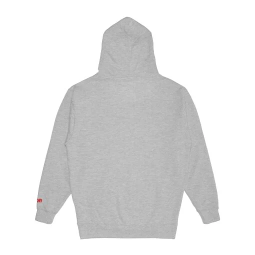 Grateful Dead X TGR Ski Bear Patch Hoodie - Image 2